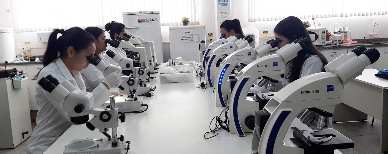 Clínicas de Doenças e de Insetos