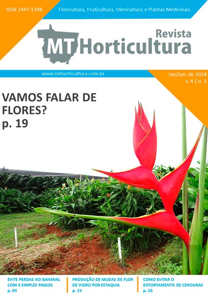 Revista MT Horticultura - Volume 4 - Número 1