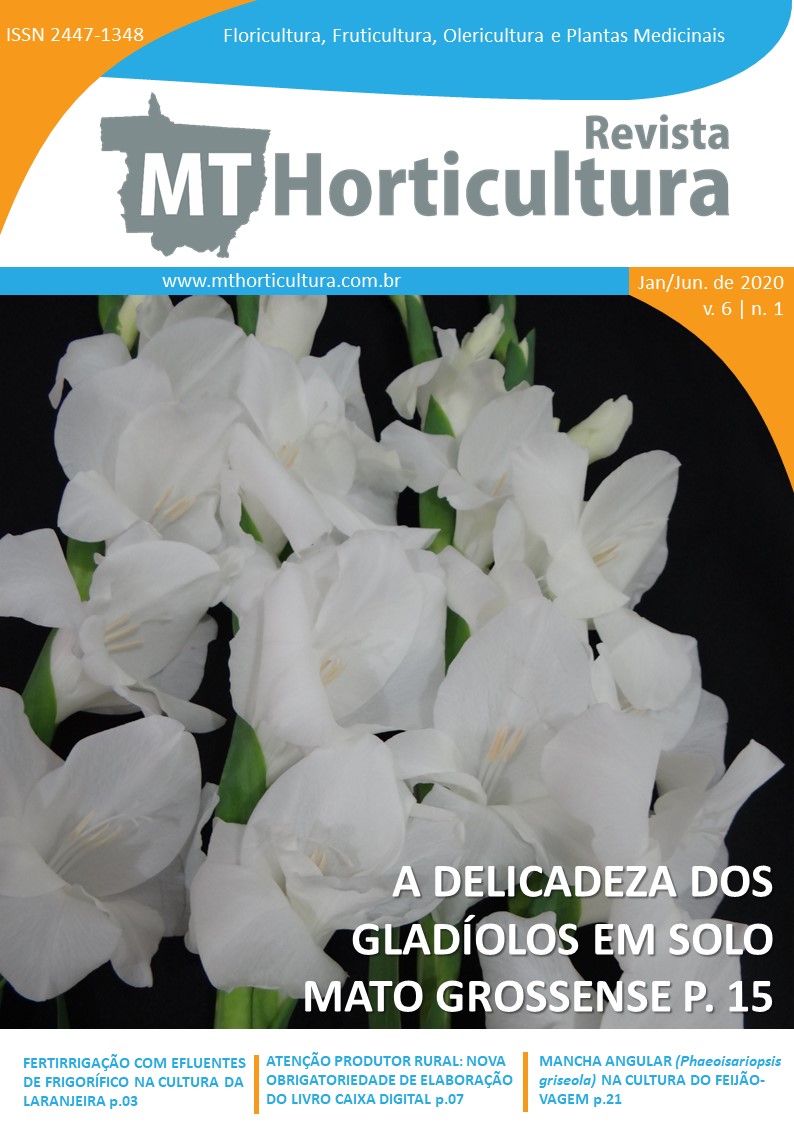Revista MT Horticultura - Volume 6 - Número 1