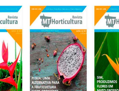 Revista MT Horticultura realiza chamada para recebimento de artigos