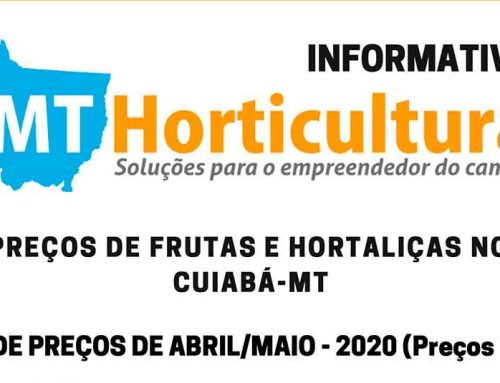 Informativo com cotações do setor de hortifrúti será disponibilizado para produtores