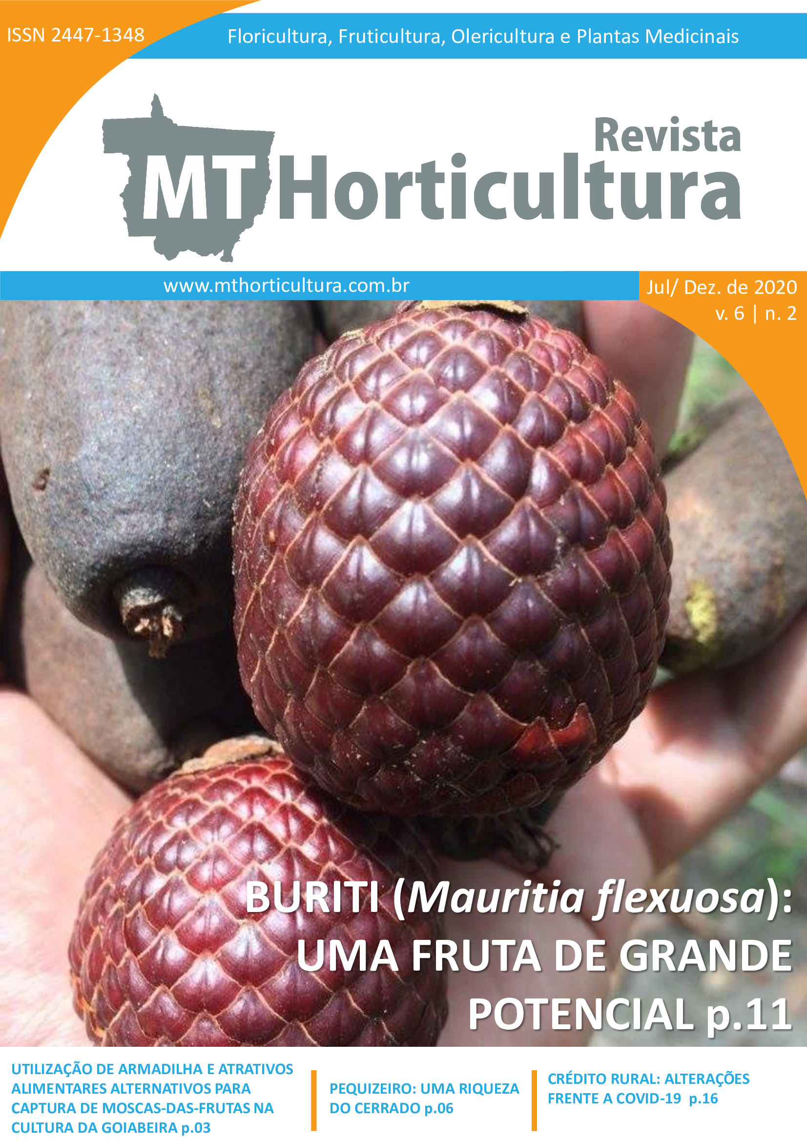 Revista MT Horticultura - Volume 6 - Número 2